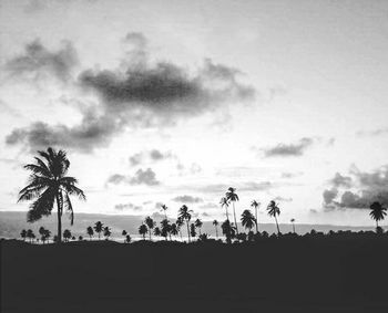 Silhouette palm trees against sky