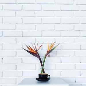 Bird of paradise flowers by coffee cup on table against white wall