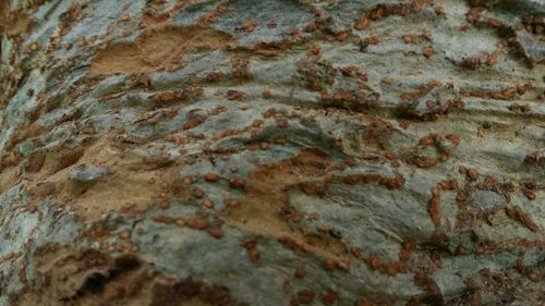 Full frame shot of textured surface