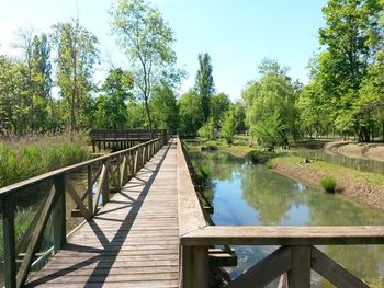 Footbridge over trees against sky