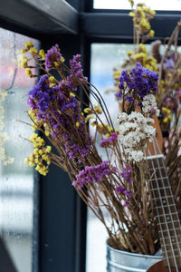 Close-up of purple flowering plant in vase
