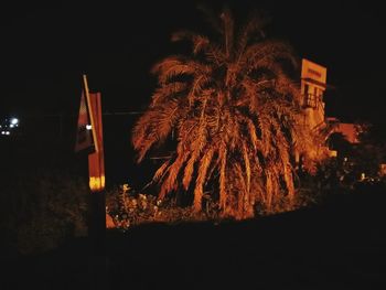 Illuminated built structure at night