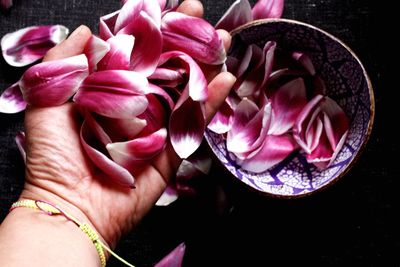 Close-up of hand holding roses