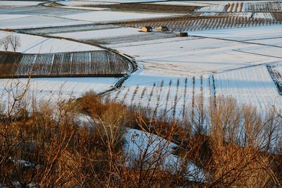 Snowed fields in the valley, alba, cuneo, piedmont, italy