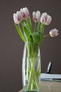 Close-up of tulip in vase on table