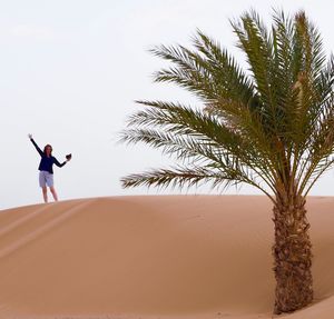 Sahara desert, morocco 