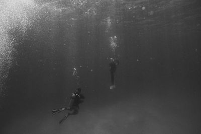 Two people swimming in sea