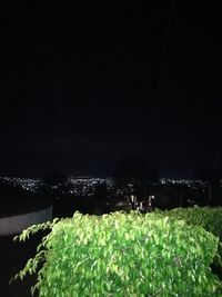 Scenic view of lake against clear sky at night