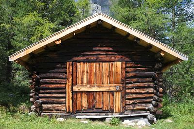 Old wooden structure on field by trees in forest