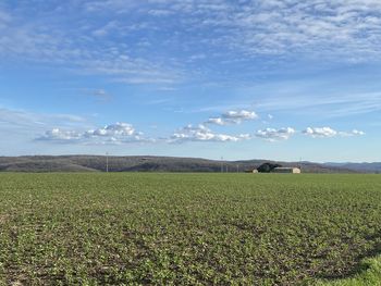 Scenic view of agricultural field against sky