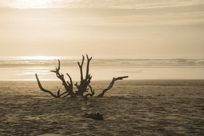 Scenic view of sea against sky at sunset