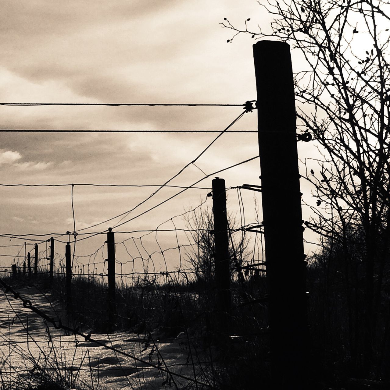 power line, electricity pylon, electricity, sky, cable, connection, power supply, silhouette, fuel and power generation, low angle view, sunset, technology, pole, cloud - sky, fence, barbed wire, built structure, no people, tree, power cable