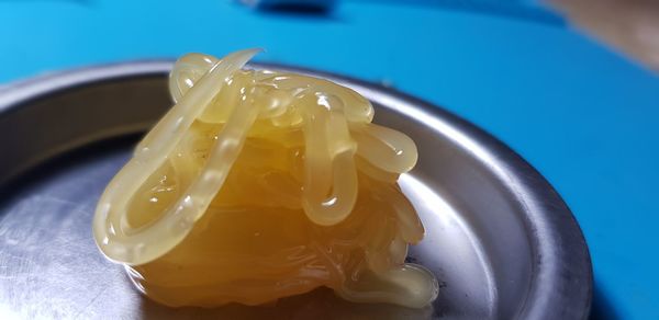 High angle view of ice cream in plate