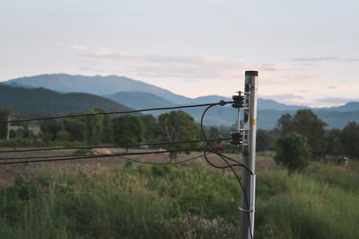 Electric pole with countryside environment in golden hour