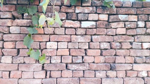 Full frame shot of brick wall