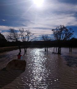 View of dog on water against sky