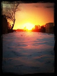 sunset