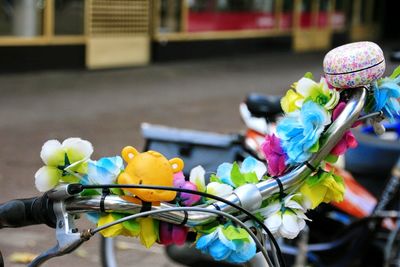 Close-up of multi colored flowers