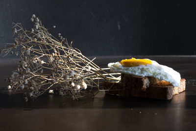 Close-up of breakfast with plant on table