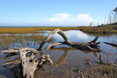 Scenic view of lake against sky