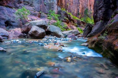 River flowing through rocks in forest