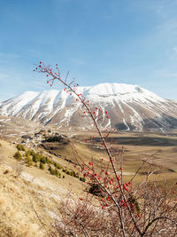 Scenic view of mountains against sky with fruity tree