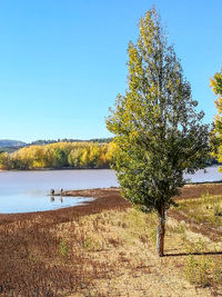 Scenic view of lake against clear blue sky