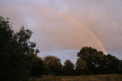 Scenic view of rainbow over trees against sky