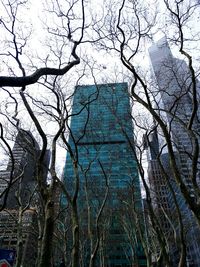 Low angle view of bare trees against sky