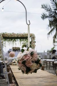 Close-up of white flowering plant against sky