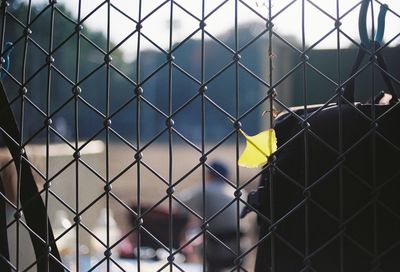 City seen through fence