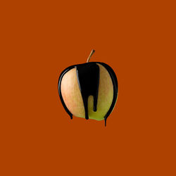 Close-up of electric lamp against orange background