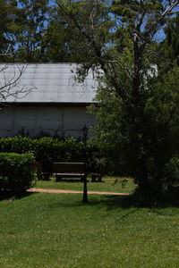 Trees on grassy field in park