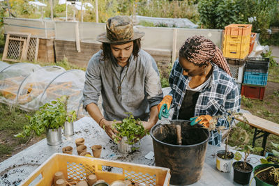 Female and male farmers planting at table in urban farm