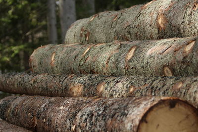 Close-up of old rusty pipe on wood