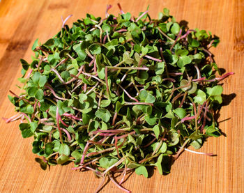 High angle view of chopped vegetables on table