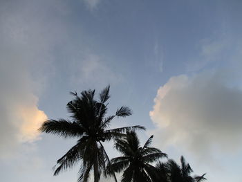 Low angle view of silhouette palm tree against sky