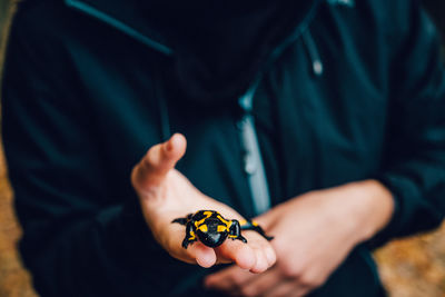 Close-up of hand holding insect