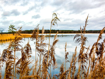 Scenic view of calm lake against sky