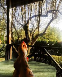 Low section of man sitting on railing