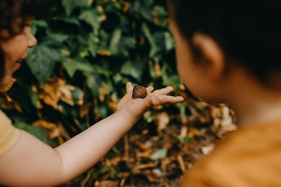 Cropped image of man holding hands on plant