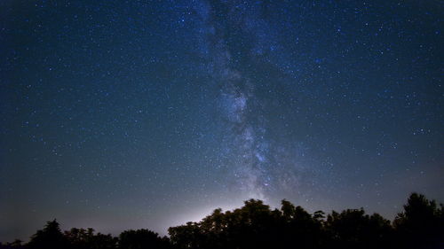 Low angle view of star field against sky at night