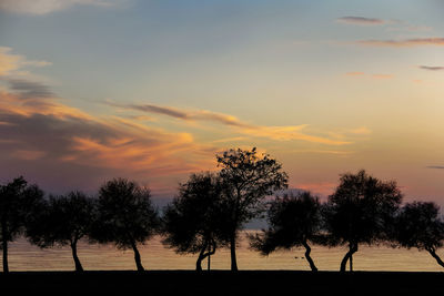 Silhouette trees on field against sky during sunset