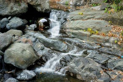 Waterfall in forest