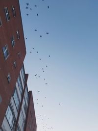 Low angle view of birds flying against sky