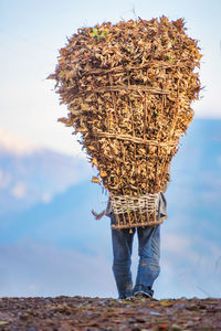 Low angle view of woman standing against sky