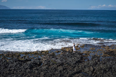 Small lonely woman in white dress on rocky volcanic beach. endless horizon of the ocean. waves foam.