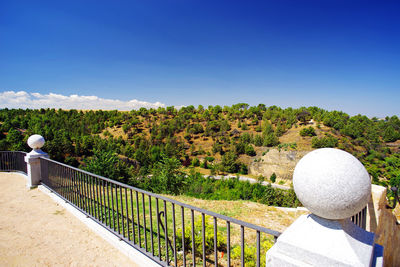 Rear view of person looking at plants against clear blue sky