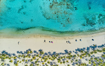 Top view in caribbean island paradisiacal - cayo sombrero - morrocoy venezuela. aerial view.