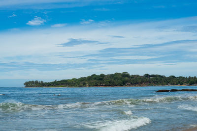 Surfer on the sea, palm trees on the background, blue sky. arugam bay, sri lanka.